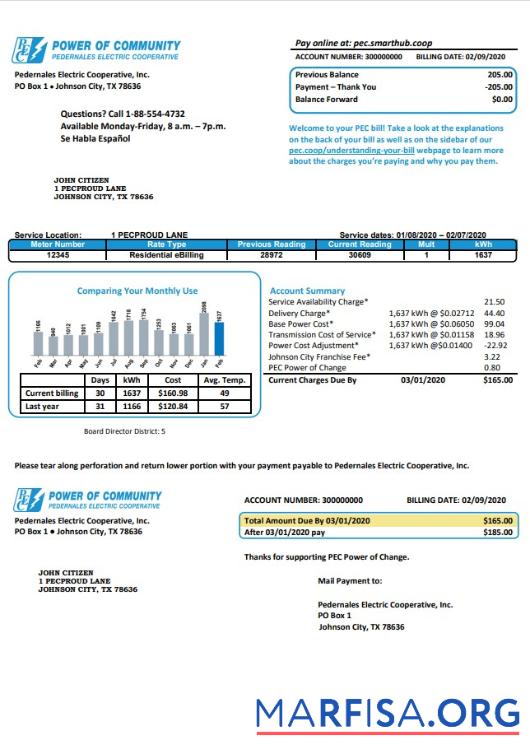 Realistic USA Texas Power of Community electricity utility bill in Word and PDF format, good for address prove sample